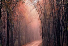 奥尔良羽毛球大师赛 郑加恒取开门红 骆建佑出局杨佳敏退赛.