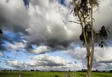 黑白体育直播：张帅晋级澳网混双八强央视新闻客户端.