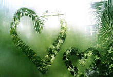 傅园慧第一课教蛙泳！成绩只要求“达标”，但是……中国青年报.