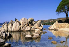 孙俪邓超带儿子女儿，现身中国F1大奖赛，儿子身高快赶.